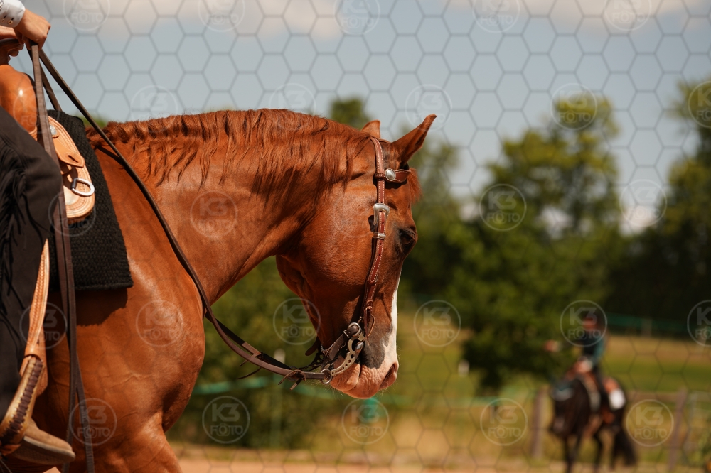s_A9_03833.jpg